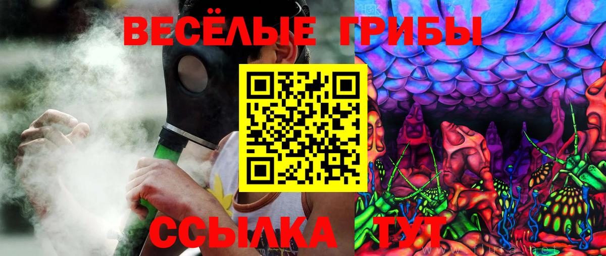 Псилоцибиновые грибы Cubensis  Псилоцибиновые грибы GOLDEN TEACHER  Кострома  Вход с VPN 