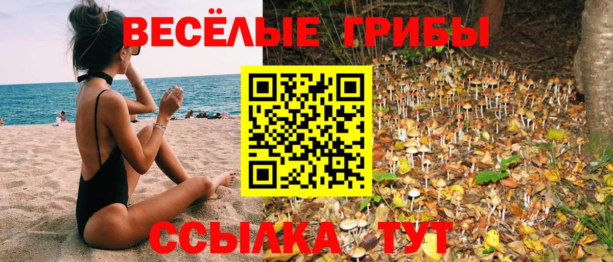 Галлюциногенные грибы прущие грибы Кострома